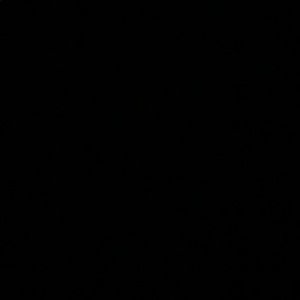 Meet your Posher, Brayden